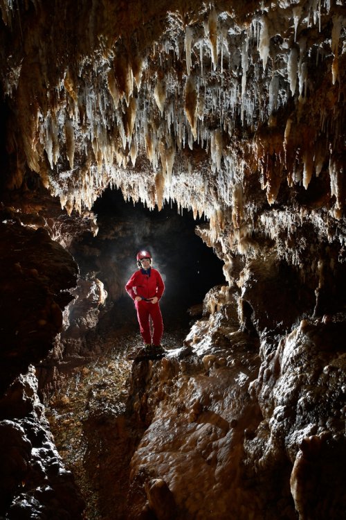 Grotte d'Orquette (Plateau d'Albès, Hérault) - Spéléo dans la salle terminale concrétionnée(SP-17-1763)